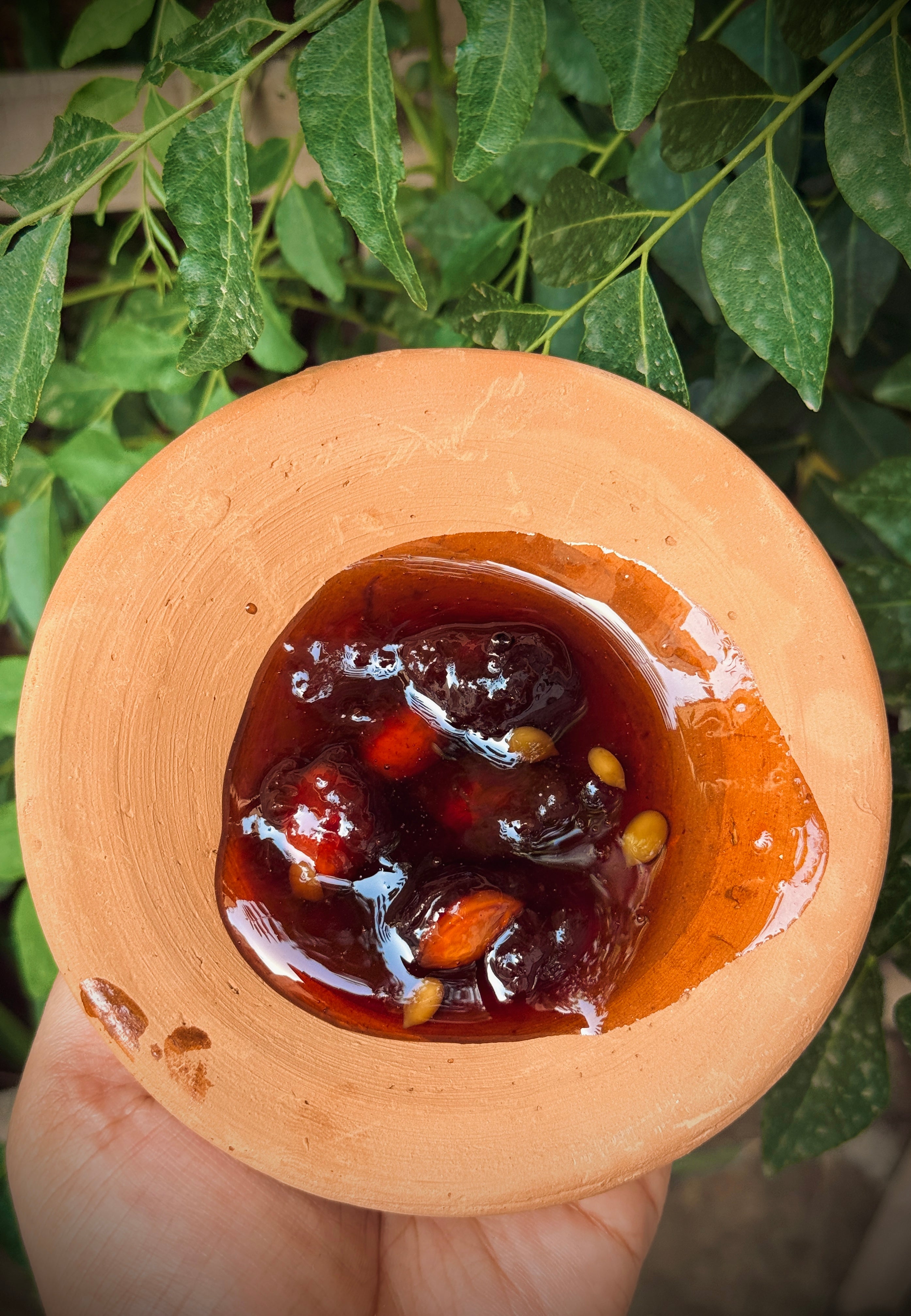 Aloo Bukhara Chutney – Sweet, Tangy & Flavorful Plum Chutney